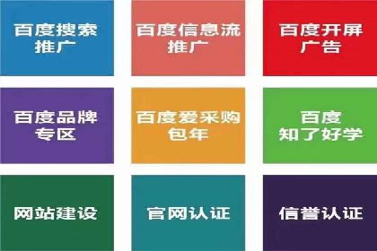 百度竞价排名机制：成功案例与策略探讨